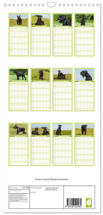Treuer Freund Riesenschnauzer (CALVENDO Familienplaner 2026)