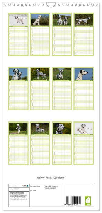 Auf den Punkt - Dalmatiner (CALVENDO Familienplaner 2026)