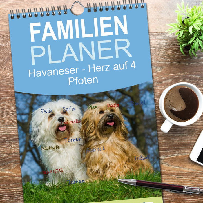 Havaneser - Herz auf 4 Pfoten (CALVENDO Familienplaner 2026)