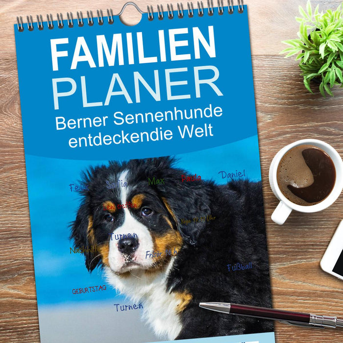 Seebärchen entdecken die Welt - Berner Sennenhunde (CALVENDO Familienplaner 2026)