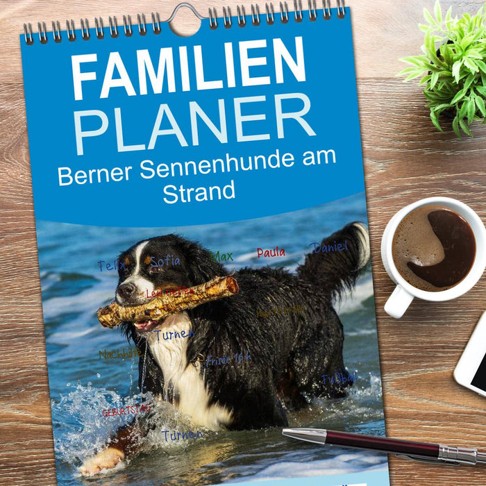 Berner Sennenhunde am Strand (CALVENDO Familienplaner 2026)