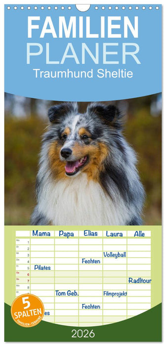 Traumhund Sheltie (CALVENDO Familienplaner 2026)