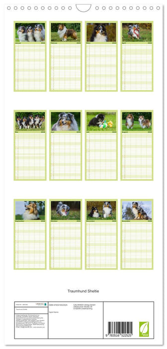 Traumhund Sheltie (CALVENDO Familienplaner 2026)
