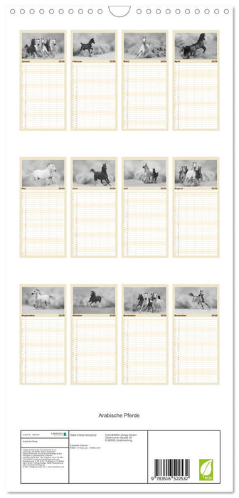 Arabische Pferde (CALVENDO Familienplaner 2026)