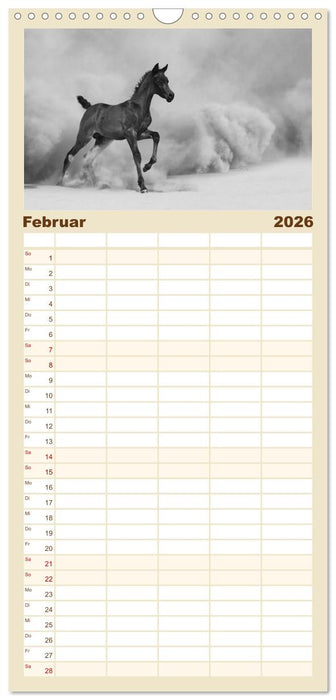 Arabische Pferde (CALVENDO Familienplaner 2026)