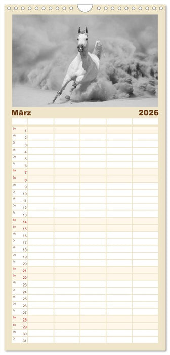 Arabische Pferde (CALVENDO Familienplaner 2026)