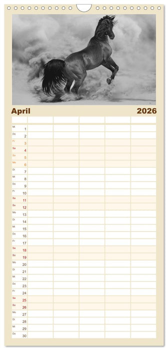 Arabische Pferde (CALVENDO Familienplaner 2026)