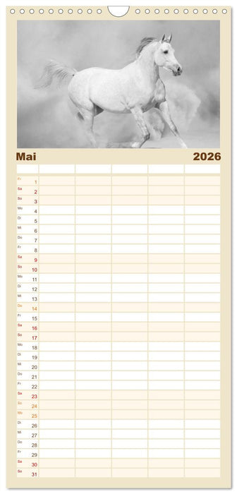 Arabische Pferde (CALVENDO Familienplaner 2026)