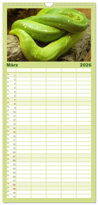 Schlangen (CALVENDO Familienplaner 2026)