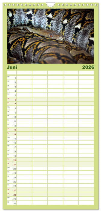 Schlangen (CALVENDO Familienplaner 2026)