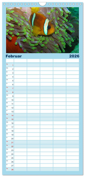 Fische und Meerestiere (CALVENDO Familienplaner 2026)