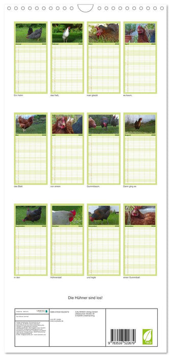 Die Hühner sind los! (CALVENDO Familienplaner 2026)