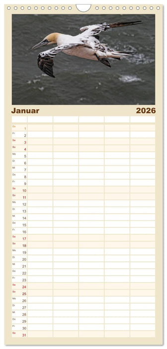 Helgoland und die Düne (CALVENDO Familienplaner 2026)