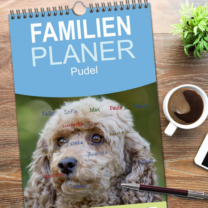 Pudel (CALVENDO Familienplaner 2026)