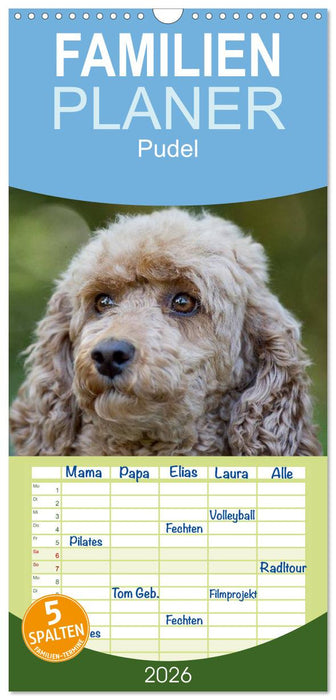 Pudel (CALVENDO Familienplaner 2026)