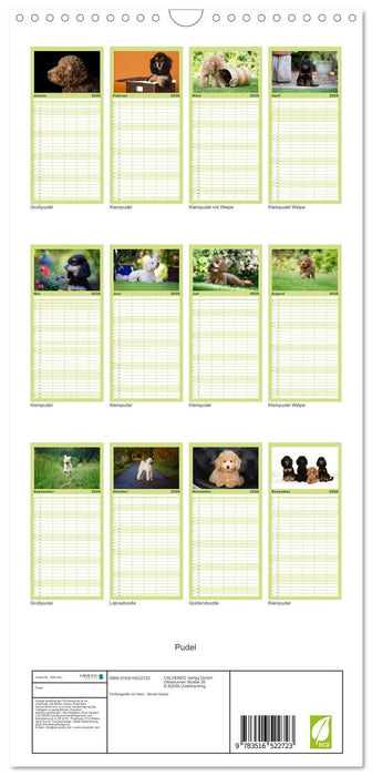 Pudel (CALVENDO Familienplaner 2026)