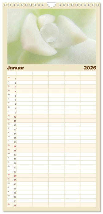 Erotische Natur (CALVENDO Familienplaner 2026)