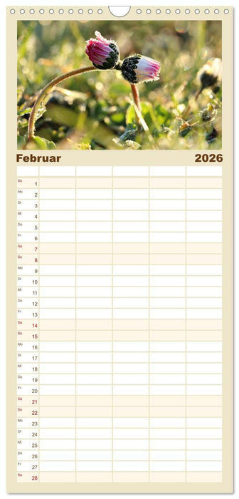 Erotische Natur (CALVENDO Familienplaner 2026)