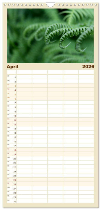 Erotische Natur (CALVENDO Familienplaner 2026)