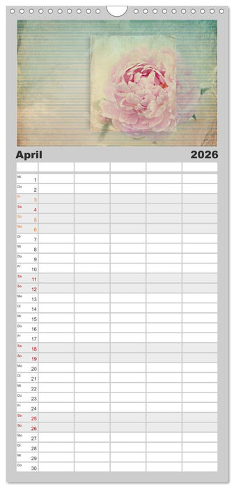 Vintage Style (CALVENDO Familienplaner 2026)