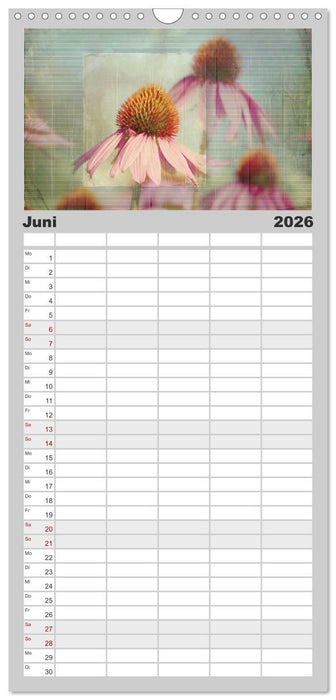 Vintage Style (CALVENDO Familienplaner 2026)