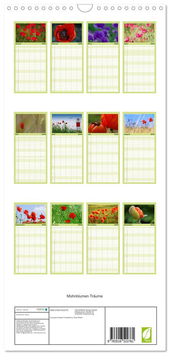 Mohnblumen Träume (CALVENDO Familienplaner 2026)