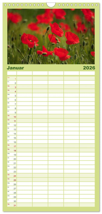 Mohnblumen Träume (CALVENDO Familienplaner 2026)