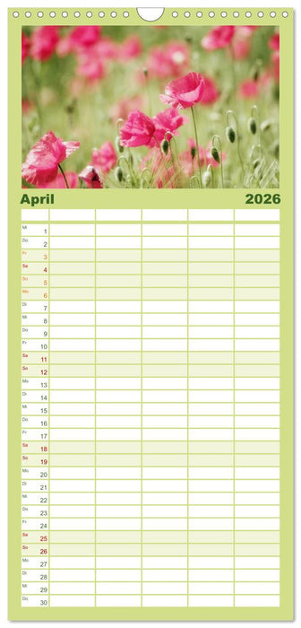 Mohnblumen Träume (CALVENDO Familienplaner 2026)
