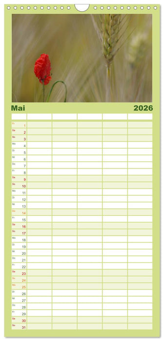 Mohnblumen Träume (CALVENDO Familienplaner 2026)