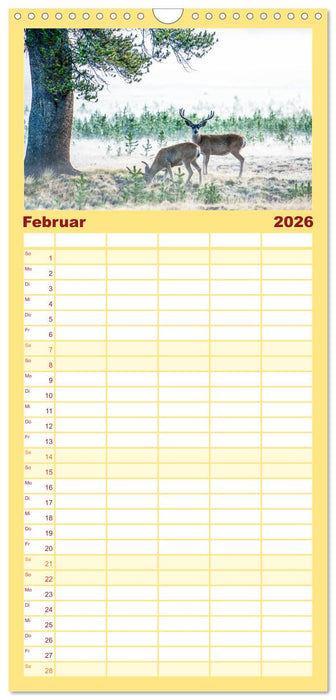 Atemberaubendes Amerika - Die schönsten Nationalparks im Westen der USA (CALVENDO Familienplaner 2026)