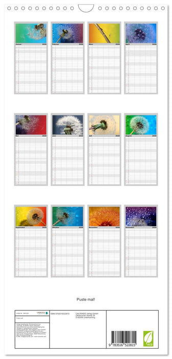 Puste mal! (CALVENDO Familienplaner 2026)