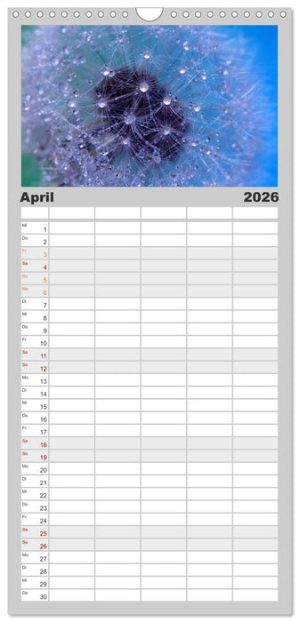 Puste mal! (CALVENDO Familienplaner 2026)