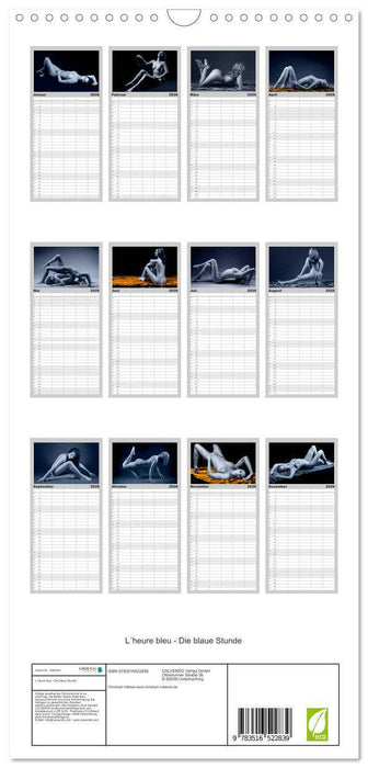 L´heure bleu - Die blaue Stunde (CALVENDO Familienplaner 2026)