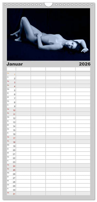 L´heure bleu - Die blaue Stunde (CALVENDO Familienplaner 2026)