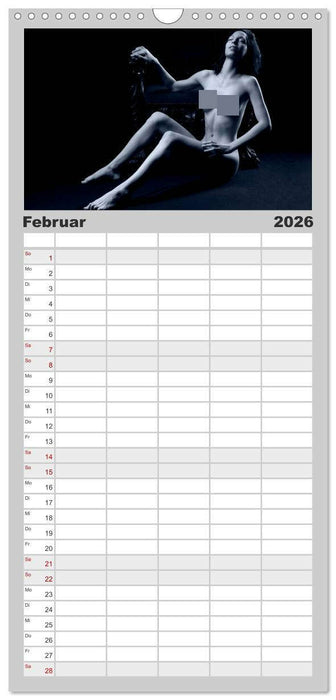 L´heure bleu - Die blaue Stunde (CALVENDO Familienplaner 2026)