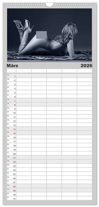 L´heure bleu - Die blaue Stunde (CALVENDO Familienplaner 2026)