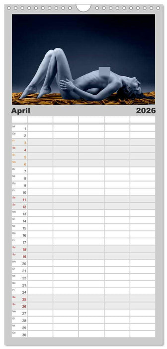 L´heure bleu - Die blaue Stunde (CALVENDO Familienplaner 2026)