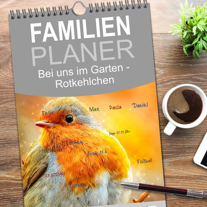 Bei uns im Garten - Rotkehlchen (CALVENDO Familienplaner 2026)
