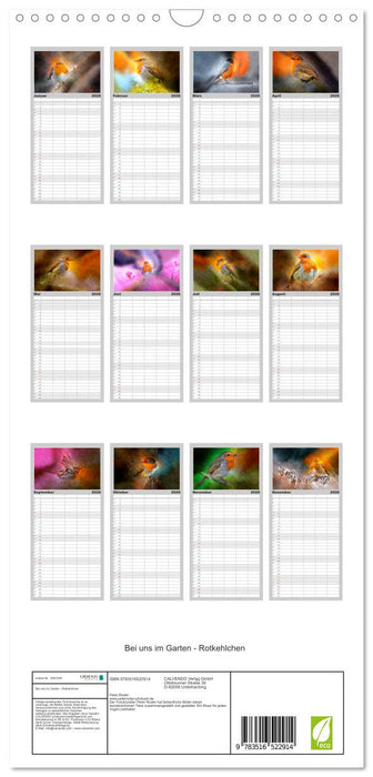 Bei uns im Garten - Rotkehlchen (CALVENDO Familienplaner 2026)