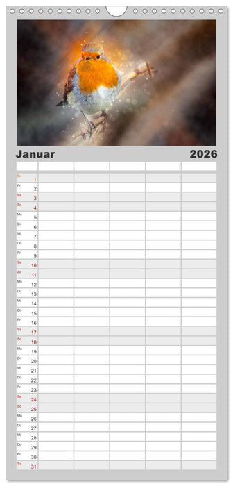 Bei uns im Garten - Rotkehlchen (CALVENDO Familienplaner 2026)