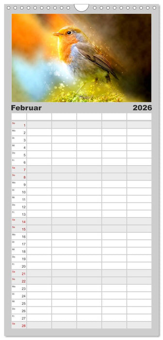 Bei uns im Garten - Rotkehlchen (CALVENDO Familienplaner 2026)