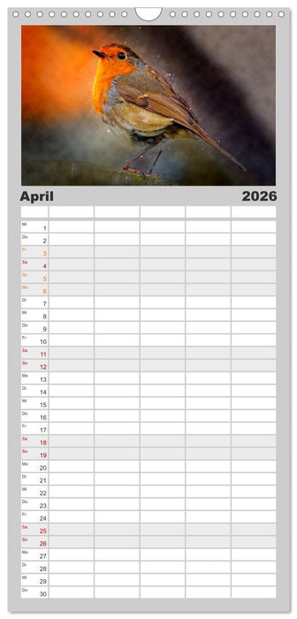 Bei uns im Garten - Rotkehlchen (CALVENDO Familienplaner 2026)