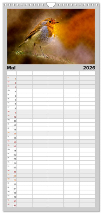 Bei uns im Garten - Rotkehlchen (CALVENDO Familienplaner 2026)