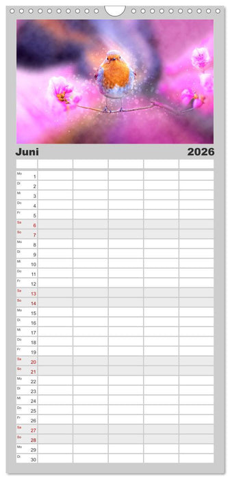 Bei uns im Garten - Rotkehlchen (CALVENDO Familienplaner 2026)