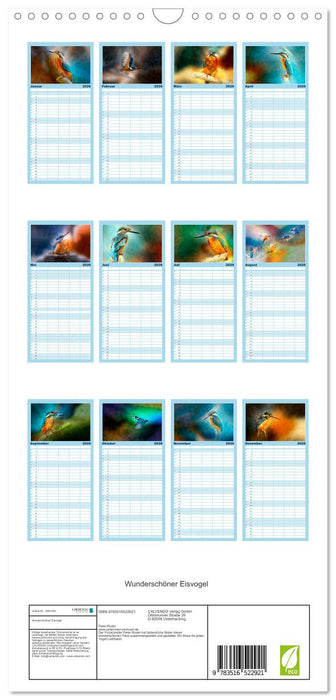Wunderschöner Eisvogel (CALVENDO Familienplaner 2026)