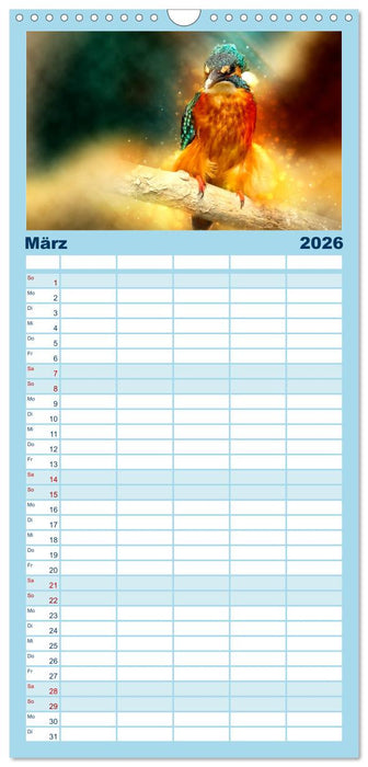 Wunderschöner Eisvogel (CALVENDO Familienplaner 2026)