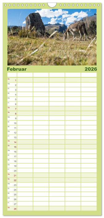 Climbing Solutions - Bergsport weltweit (CALVENDO Familienplaner 2026)