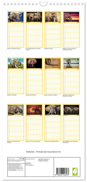Elefanten - Portraits der besonderen Art (CALVENDO Familienplaner 2026)