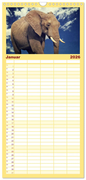 Elefanten - Portraits der besonderen Art (CALVENDO Familienplaner 2026)