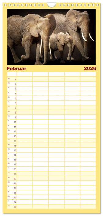 Elefanten - Portraits der besonderen Art (CALVENDO Familienplaner 2026)